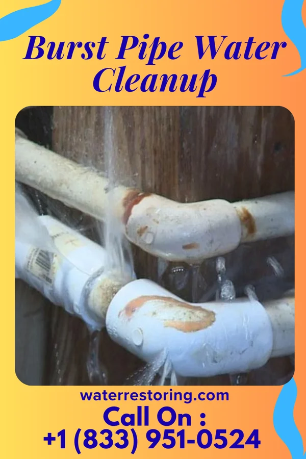 Burst Pipe Water Cleanup in North Hills, WV