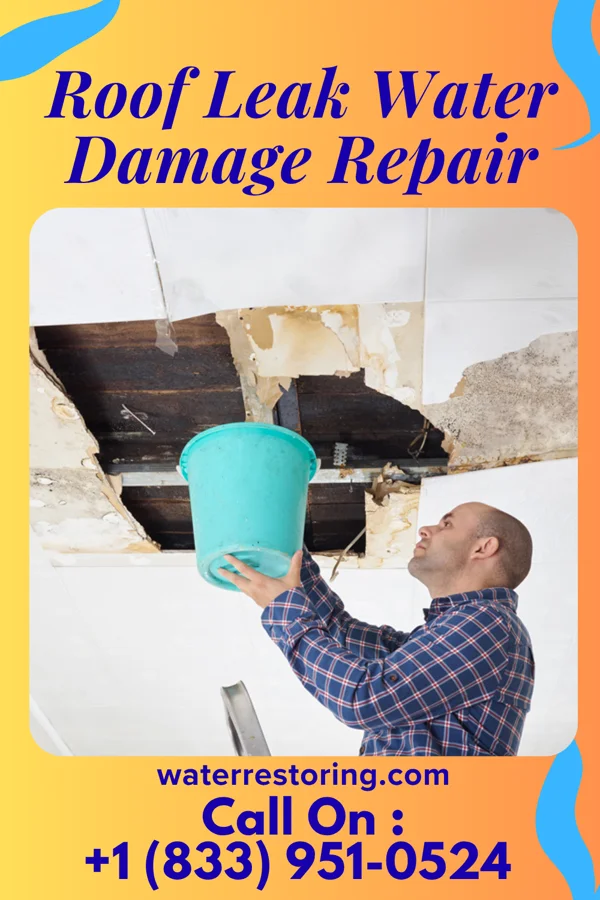 Roof Leak Water Damage Repair in North Hills, WV