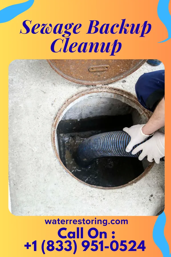 Sewage Backup Cleanup in North Hills, WV