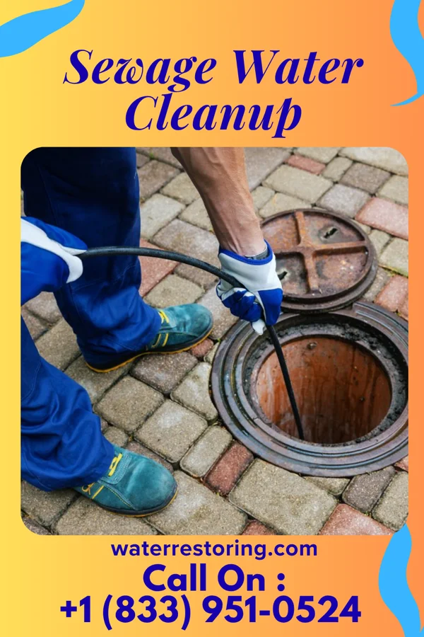 Sewage Water Cleanup in North Hills, WV