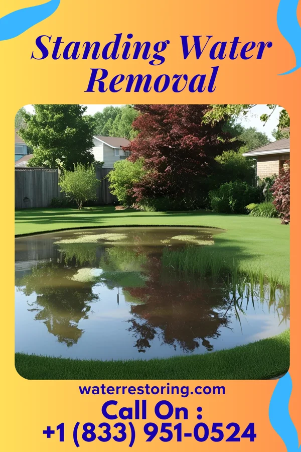 Standing Water Removal in North Hills, WV